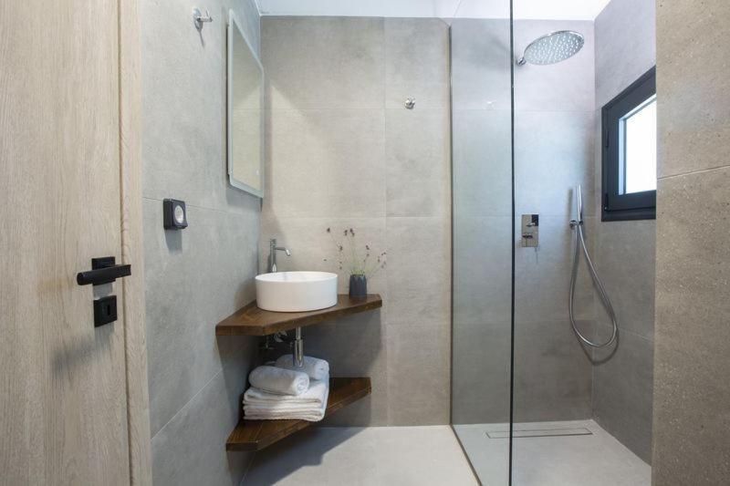 Seascape Villas Vassiliki - Beachfront Villas 外观 照片