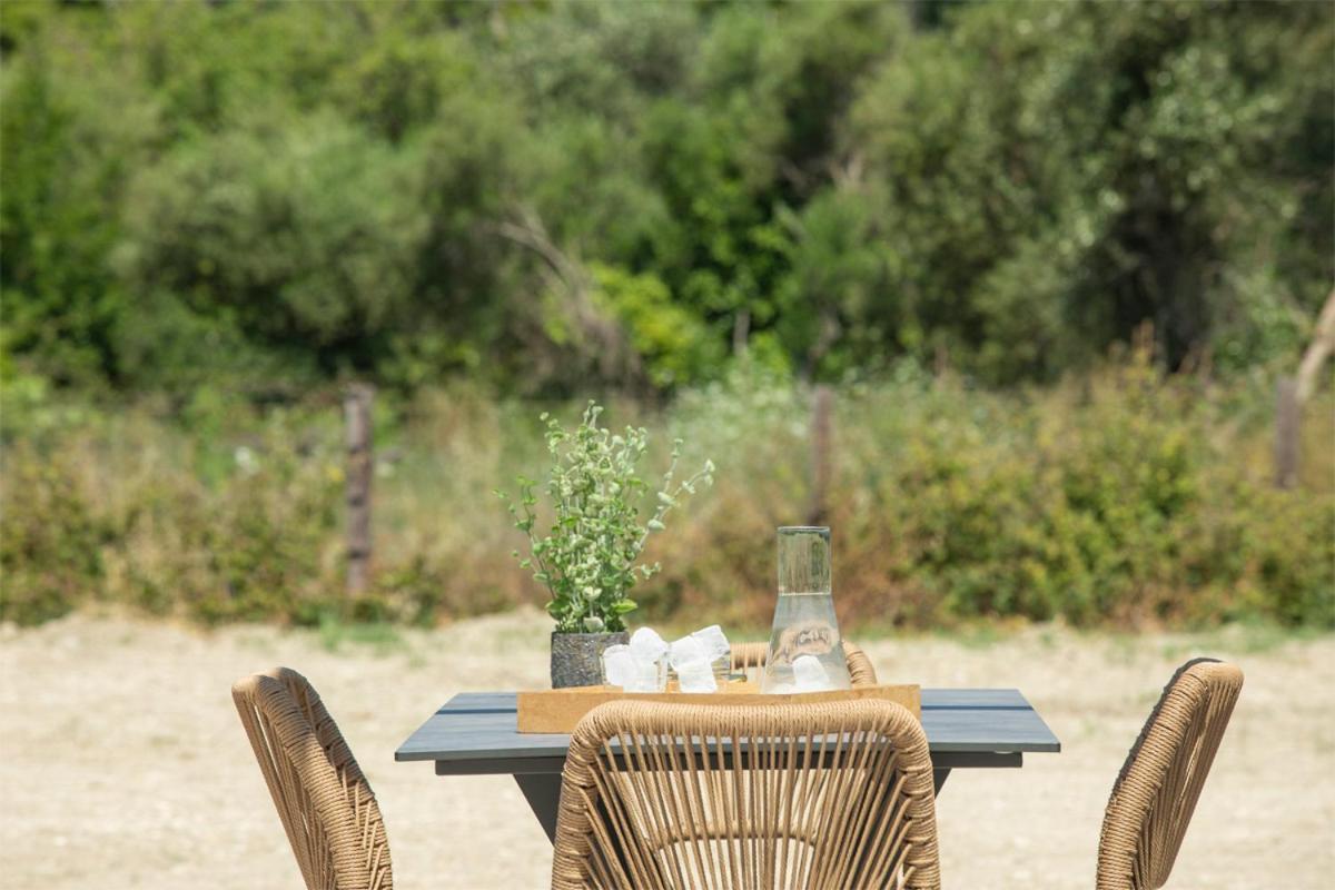 Seascape Villas Vassiliki - Beachfront Villas 外观 照片